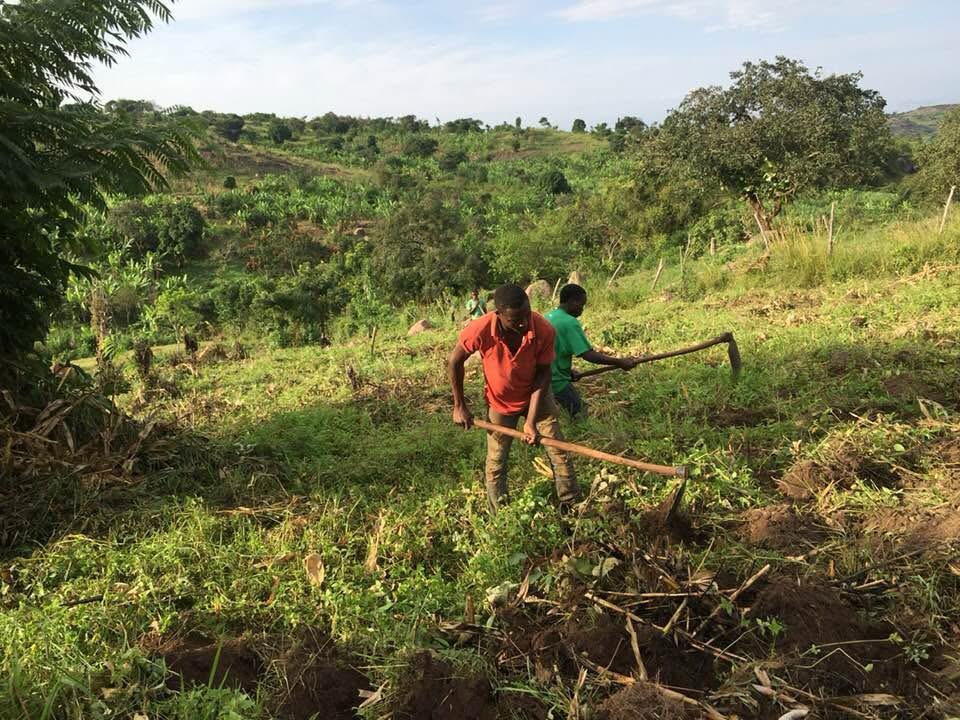 Agricultural Support